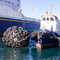 Para-choque pneumático de borracha Marine Dock Fenders do barco de Florescence