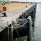 O cone Marine Dock Fender BV CCS da ceia da defesa do período de longa vida aprovou